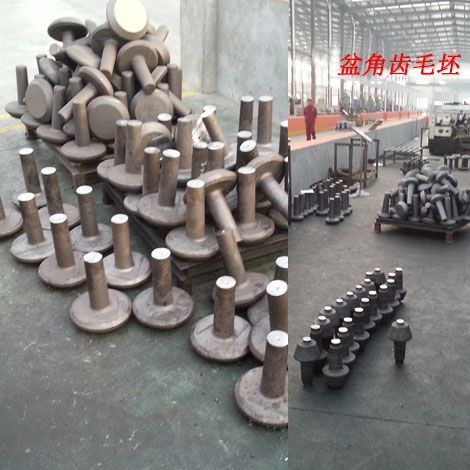 盆角(jiǎo)齒毛坯(pī)