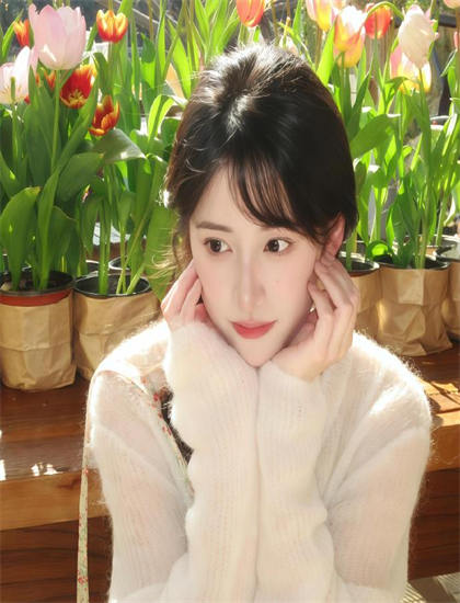 2026春季档妈妈的归途归来之金凤成龙：上映表现与批判评价